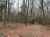11074 Wood Ln photo